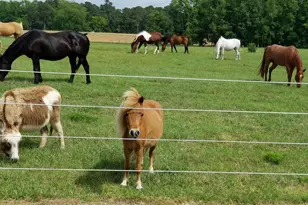 2639 Nc Hwy 211, Clarkton, NC 28433 - Photo 20