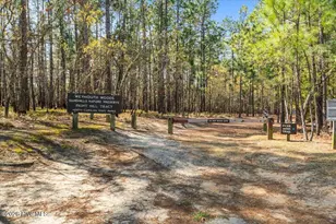980 W Hedgelawn Way, Southern Pines, NC 28387 - Photo 46