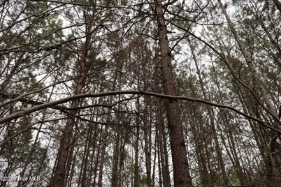 0 Rawls Church Road Road, Fuquay Varina, NC 27526 - Photo 20