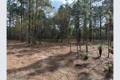 27 Birkdale Way, Pinehurst, NC 28374 - Photo 12