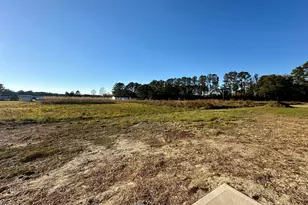 165 Bay Valley Rd, Kenly, NC 27542 - Photo 26