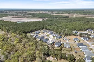 375 Canter Crst Rd, Hampstead, NC 28443 - Photo 58