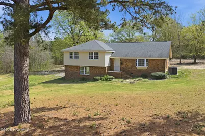 210 Oak Ridge Church Road, Hamlet, NC 28345 - Photo 2