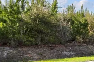 Near 731 Macedonia Church Rd, Evergreen, NC 28438 - Photo 1