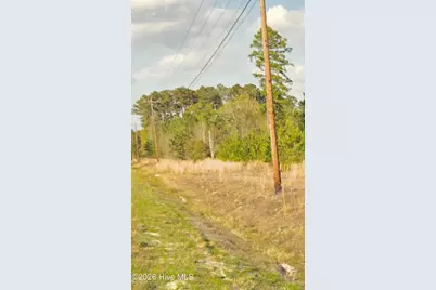 Near 731 Macedonia Church Road, Evergreen, NC 28438 - Photo 2