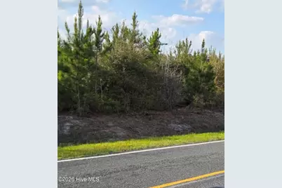 Near 731 Macedonia Church Road, Evergreen, NC 28438 - Photo 1