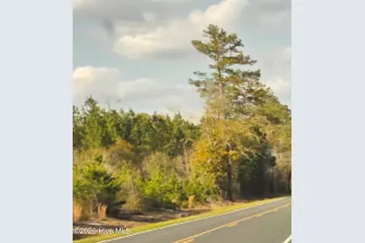 Near 731 Macedonia Church Road, Evergreen, NC 28438 - Photo 2