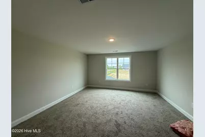 46 Grady Farm Way, Benson, NC 27504 - Photo 12