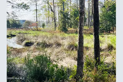 256 Winding Creek Drive, Oriental, NC 28571 - Photo 2