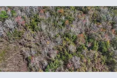 1612 Rocky Hock Landing Road, Edenton, NC 27932 - Photo 44