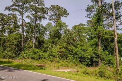 3014 Oakley Circle, Castle Hayne, NC 28429 - Photo 6