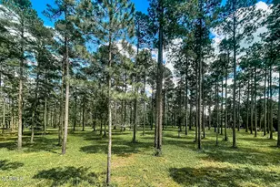 1005 Youngs Rd, Vass, NC 28394 - Photo 108