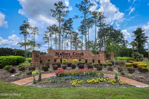 8315 Slippery Elm Ct, Winnabow, NC 28479 - Photo 58