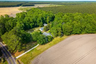1952 Whichard Cherry Lane Rd, Stokes, NC 27884 - Photo 56