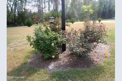 78 Aj Lane, Tabor City, NC 28463 - Photo 110