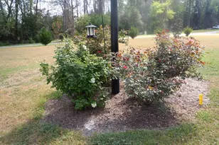 78 Aj Ln, Tabor City, NC 28463 - Photo 110