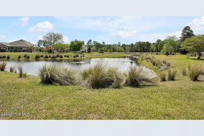 1168 Lillibridge Drive, Leland, NC 28451 - Photo 32