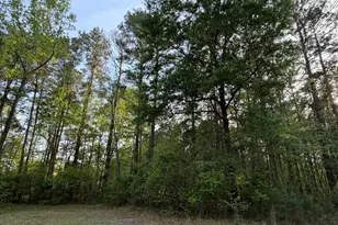 1309 N Stage Coach Trail, Jacksonville, NC 28546 - Photo 70