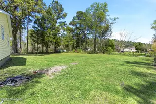 41 Oliver Ln, Burgaw, NC 28425 - Photo 26
