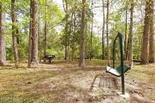 318 Dove Field Ct SE, Leland, NC 28451 - Photo 56