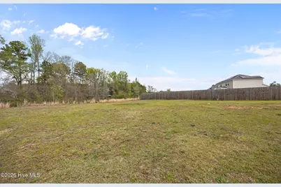 224 Forester Drive, Vass, NC 28394 - Photo 38