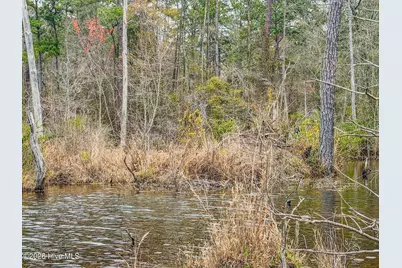 0 Lobelia Road, Vass, NC 28394 - Photo 38