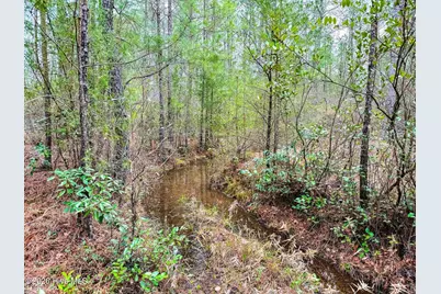 0 Lobelia Road, Vass, NC 28394 - Photo 26