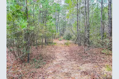 0 Lobelia Road, Vass, NC 28394 - Photo 28