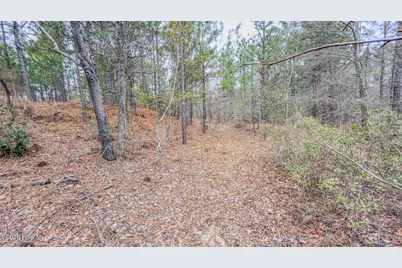 0 Lobelia Road, Vass, NC 28394 - Photo 30
