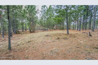 0 Lobelia Road, Vass, NC 28394 - Photo 32