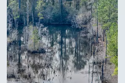0 Lobelia Road, Vass, NC 28394 - Photo 14
