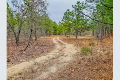 0 Lobelia Road, Vass, NC 28394 - Photo 16