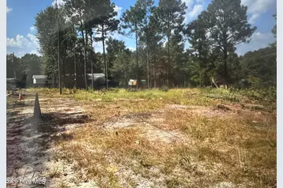 000 Wiregrass Road, Hamlet, NC 28345 - Photo 2