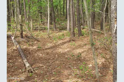 2470 Ridge Road, Spring Hope, NC 27882 - Photo 20