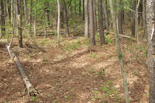 2470 Ridge Rd, Spring Hope, NC 27882 - Photo 20