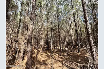 0 Guinea Mill Road, Ernul, NC 28527 - Photo 22