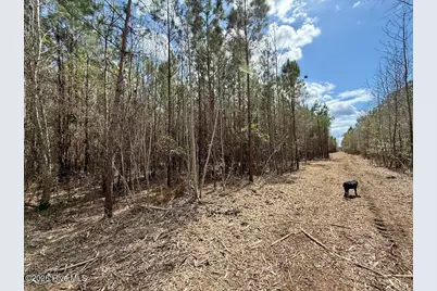 0 Guinea Mill Road, Ernul, NC 28527 - Photo 14