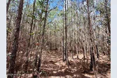 0 Guinea Mill Road, Ernul, NC 28527 - Photo 20