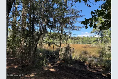 2 Alexander Drive, Belhaven, NC 27810 - Photo 4