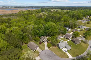 1 Joshua Dr, Chocowinity, NC 27817 - Photo 56