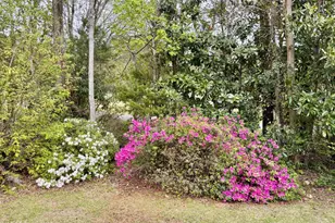 111 Tree Fern Dr, Morehead City, NC 28557 - Photo 20