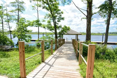 236 Sabal Pond Way, Castle Hayne, NC 28429 - Photo 54