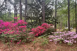 148 Dixie Trail, Hamlet, NC 28345 - Photo 22