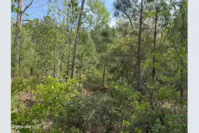 2981 Lyndhurst Terrace SW, Shallotte, NC 28470 - Photo 6