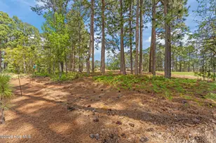 174 Holly Spgs Ct, Southern Pines, NC 28387 - Photo 50