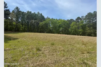 490 Springhill Church Road, Hamlet, NC 28345 - Photo 40