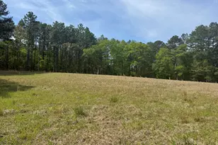 490 Springhill Church Rd, Hamlet, NC 28345 - Photo 40