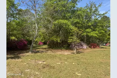 490 Springhill Church Road, Hamlet, NC 28345 - Photo 56