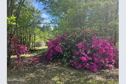 490 Springhill Church Road, Hamlet, NC 28345 - Photo 30