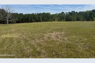 490 Springhill Church Road, Hamlet, NC 28345 - Photo 50